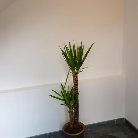 Privat bolig Droznicza Wrocław